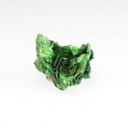 Torbernite - Mine Musonoi, Katanga, RD Congo (ex-Zaire)