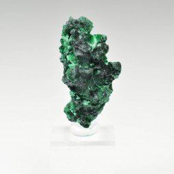 Fibrous malachite - DR Congo