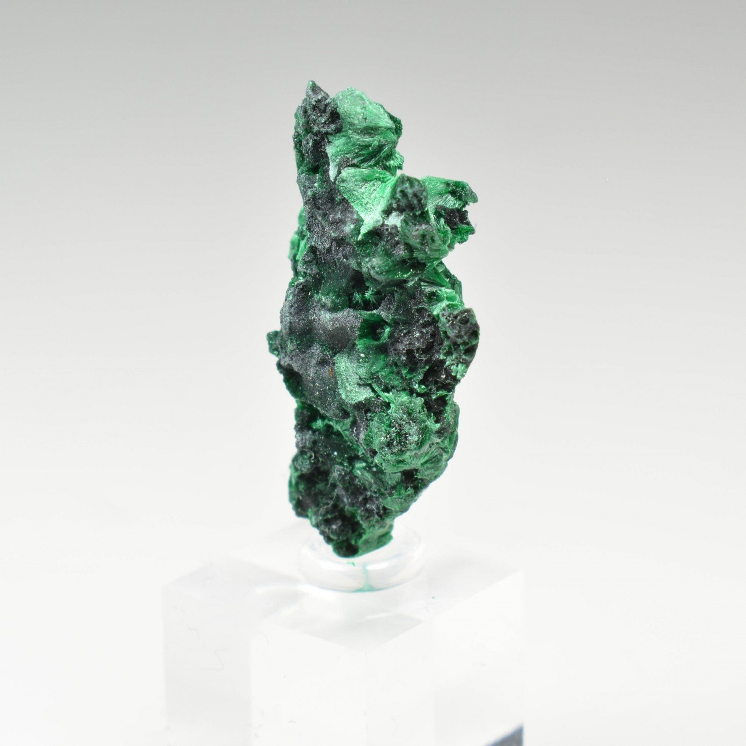 Fibrous malachite - DR Congo