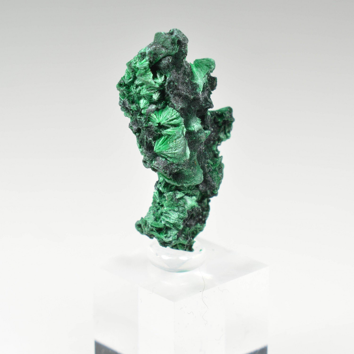 Fibrous malachite - DR Congo