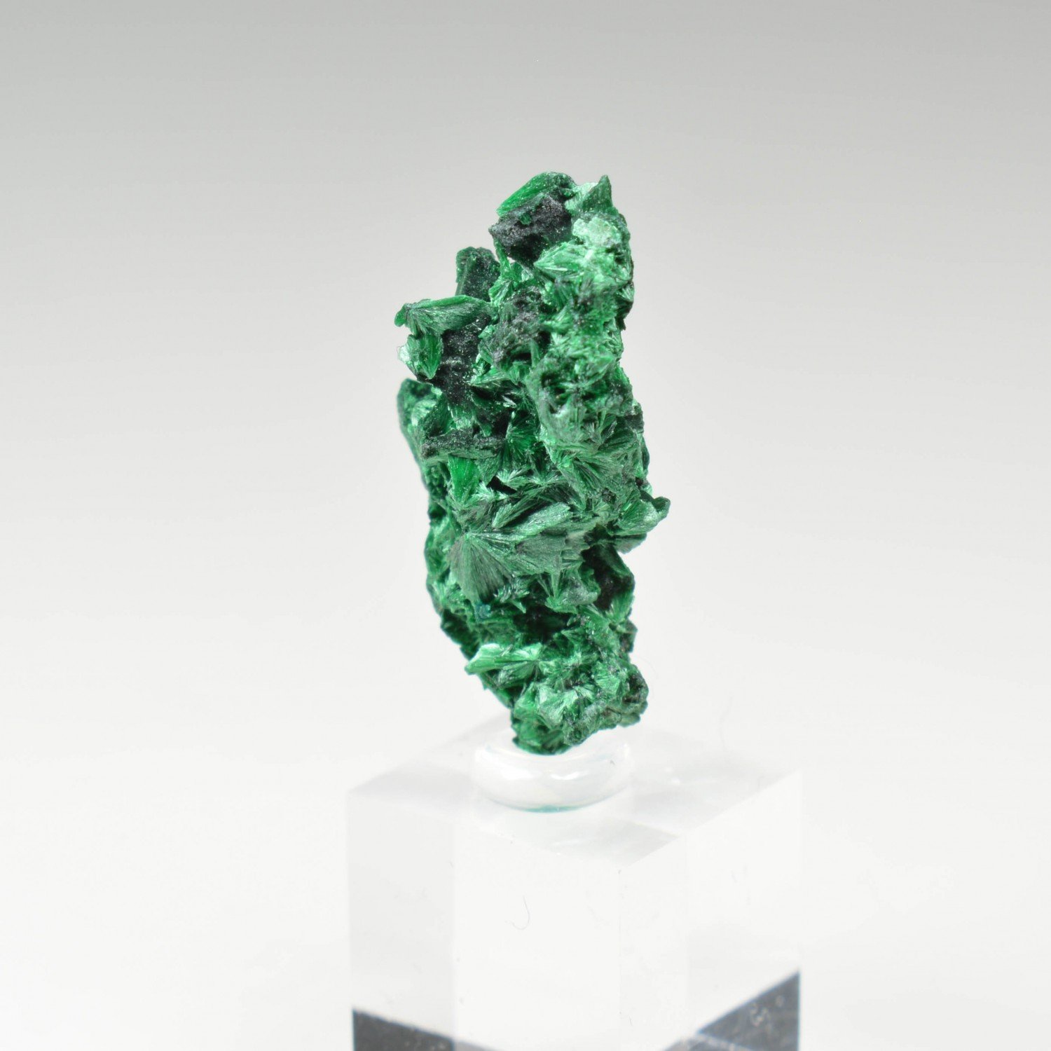 Fibrous malachite - DR Congo