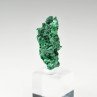 Fibrous malachite - DR Congo