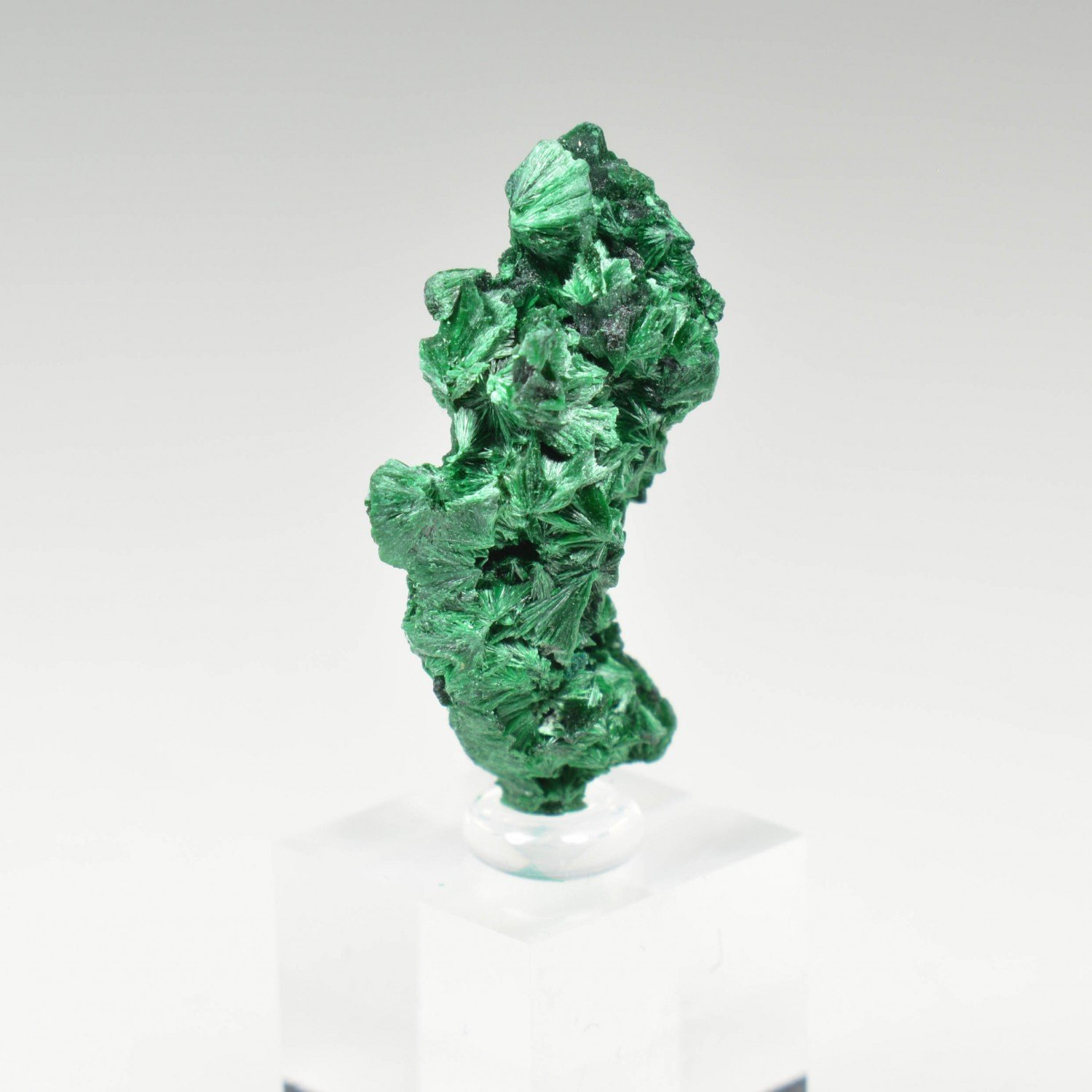 Fibrous malachite - DR Congo