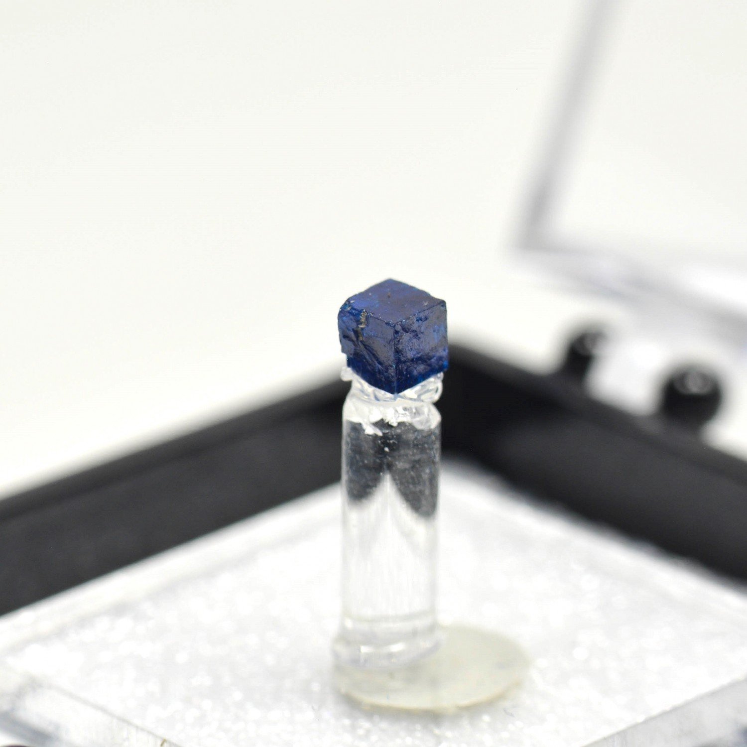 Boléite - Mine Amelia, Boleo, Santa Rosalia, Mexique