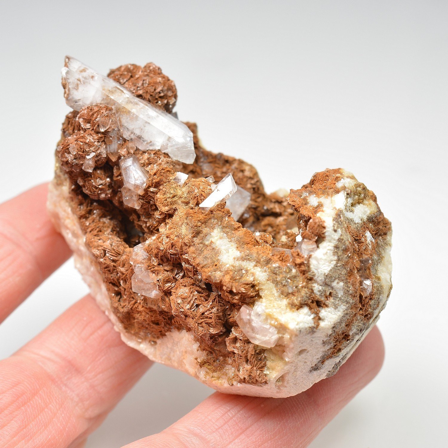 Barytine et sidérite - Carrière du Rivet, Peyrebrune, Tarn, France