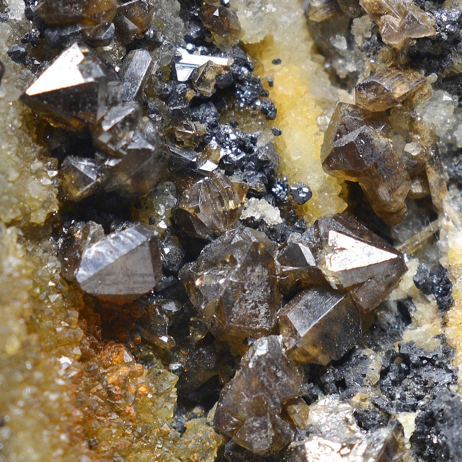 Cerussite - La Maladrerie, Villefranche-de-Rouergue, Aveyron, France