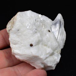 Gypsum and chalcopyrite - Arignac, Ariège, France