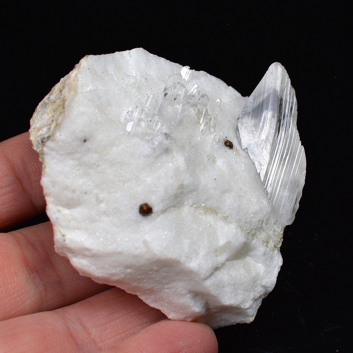 Gypsum and chalcopyrite - Arignac, Ariège, France Gypsum and chalcopyrite - Arignac, Ariège, France