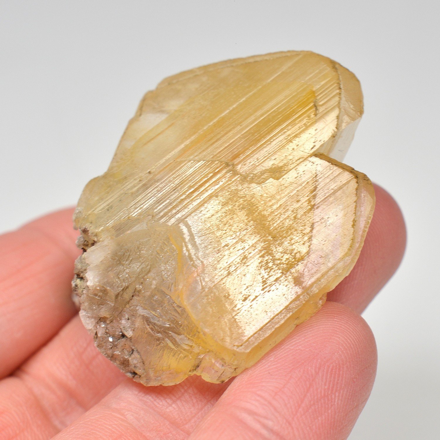 Gypsum - Pouillon Quarry, Landes, France