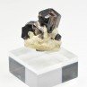 Cassiterite and quartz - Quily, Morbihan, France