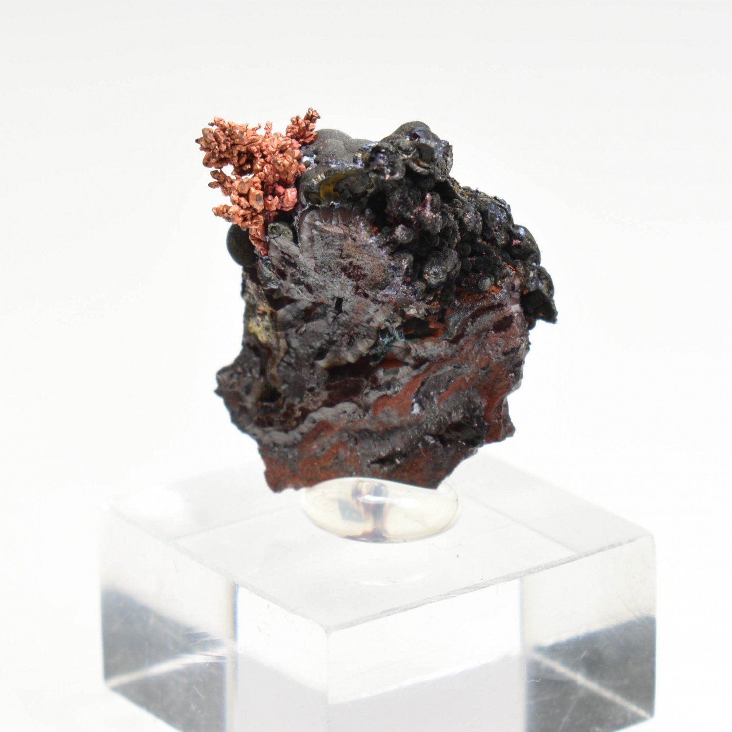Cuivre sur goethite - Montroc, Tarn, France