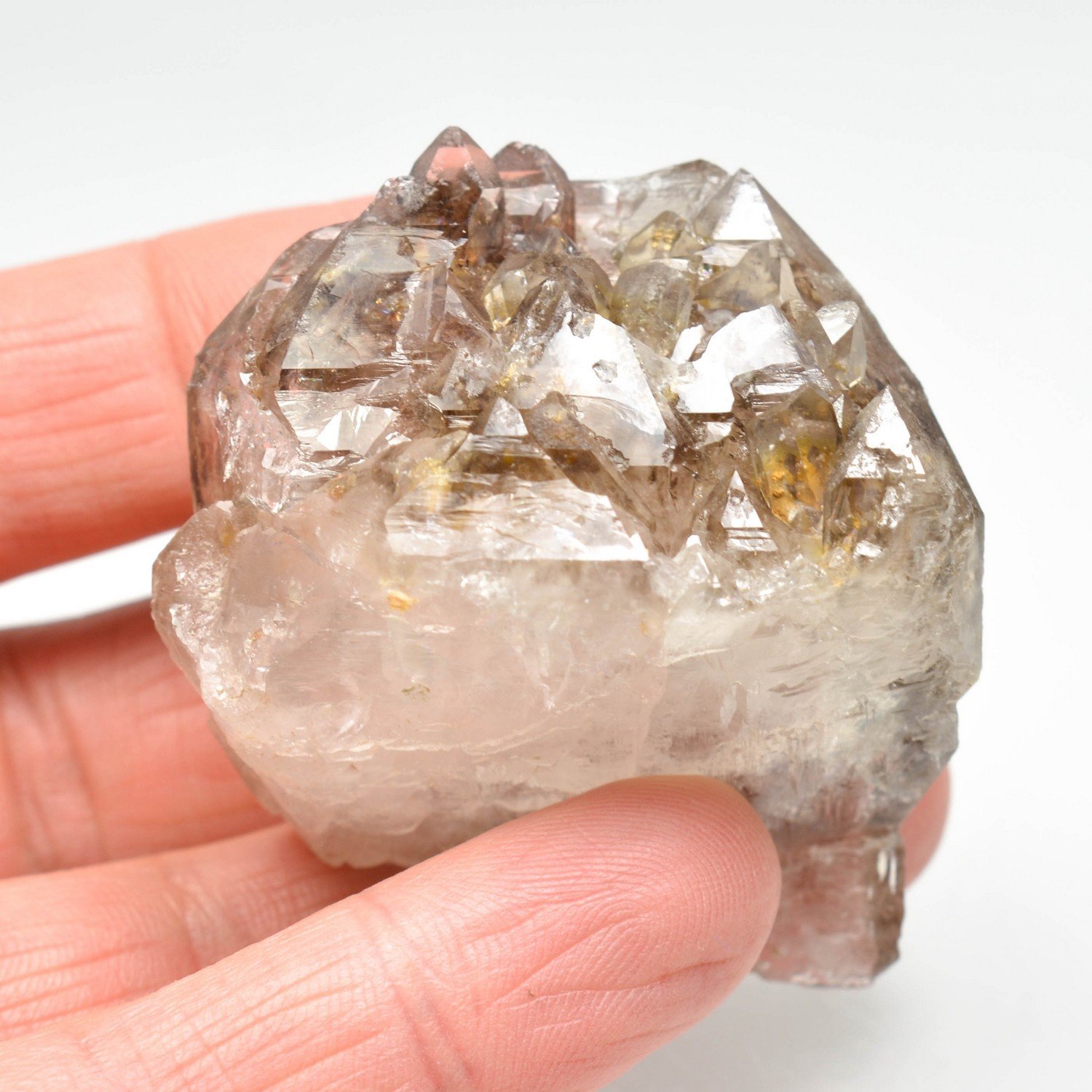 Smoky quartz - Hôpital-Camfrout, Finistère, France