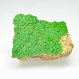 Pyromorphite - Gute Hoffnung Mine, Mechernich, Germany