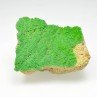 Pyromorphite - Gute Hoffnung Mine, Mechernich, Germany