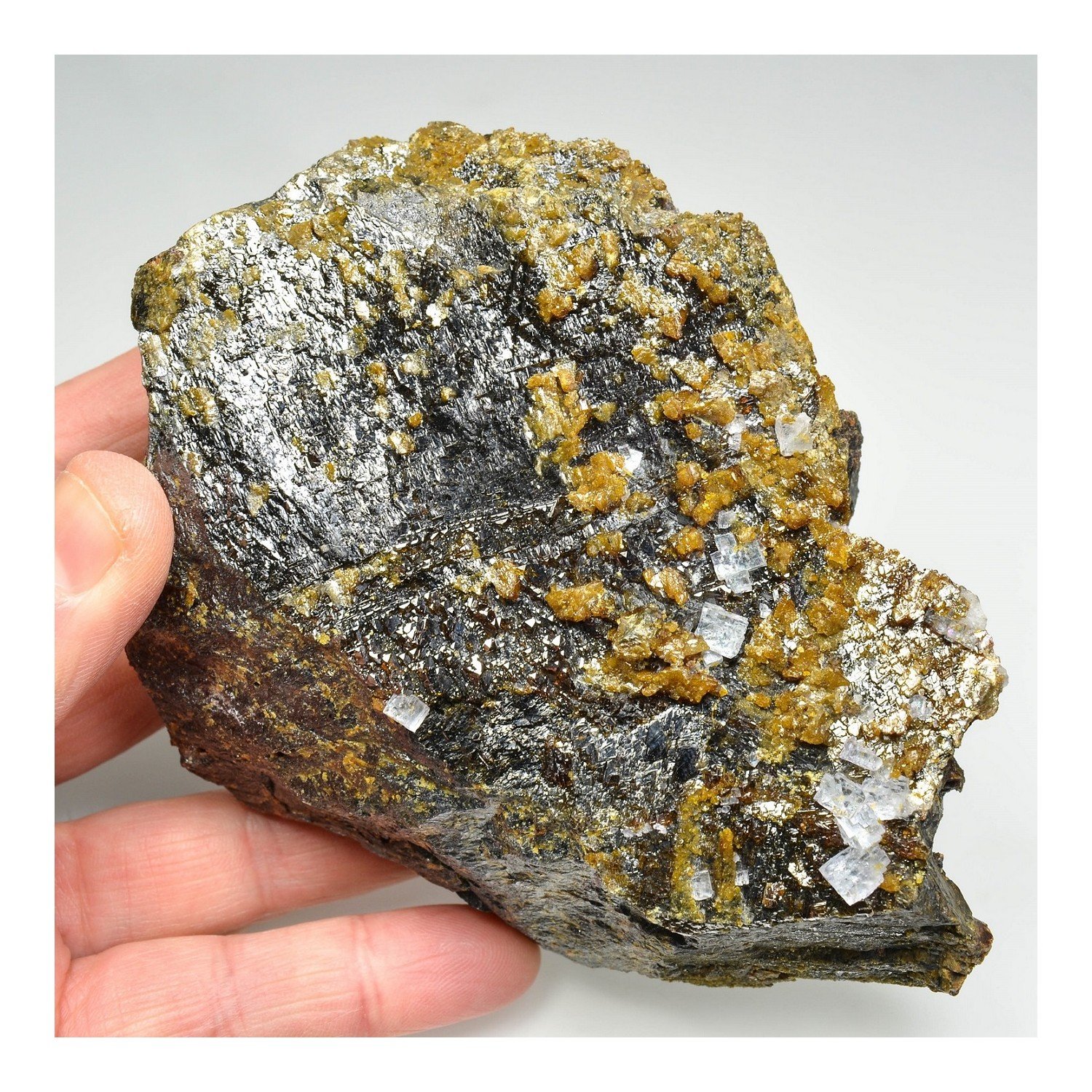 Fluorine sur sphalérite - Mine d'Elmwood,Tennessee, Etats-Unis