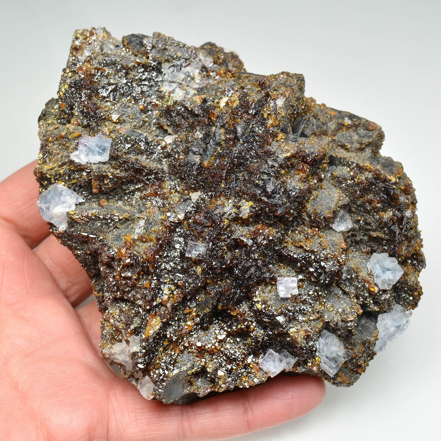 Fluorine sur sphalérite - Mine d'Elmwood,Tennessee, Etats-Unis
