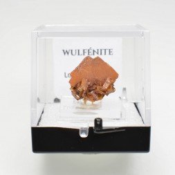 Wulfenite - Erupcion Mine, Los Lamentos, Mexico