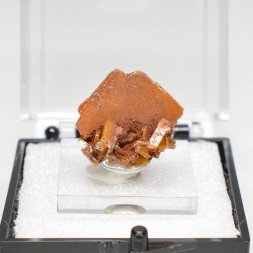 Wulfénite - Mine Erupcion, Los Lamentos, Mexique