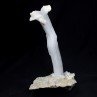 Gypsum - Qinglong Mine, Guizhou Province, China Gypsum - Qinglong Mine, Guizhou Province, China