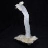 Gypsum - Qinglong Mine, Guizhou Province, China Gypsum - Qinglong Mine, Guizhou Province, China