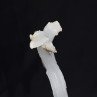 Gypsum - Qinglong Mine, Guizhou Province, China Gypsum - Qinglong Mine, Guizhou Province, China