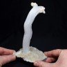 Gypsum - Qinglong Mine, Guizhou Province, China Gypsum - Qinglong Mine, Guizhou Province, China