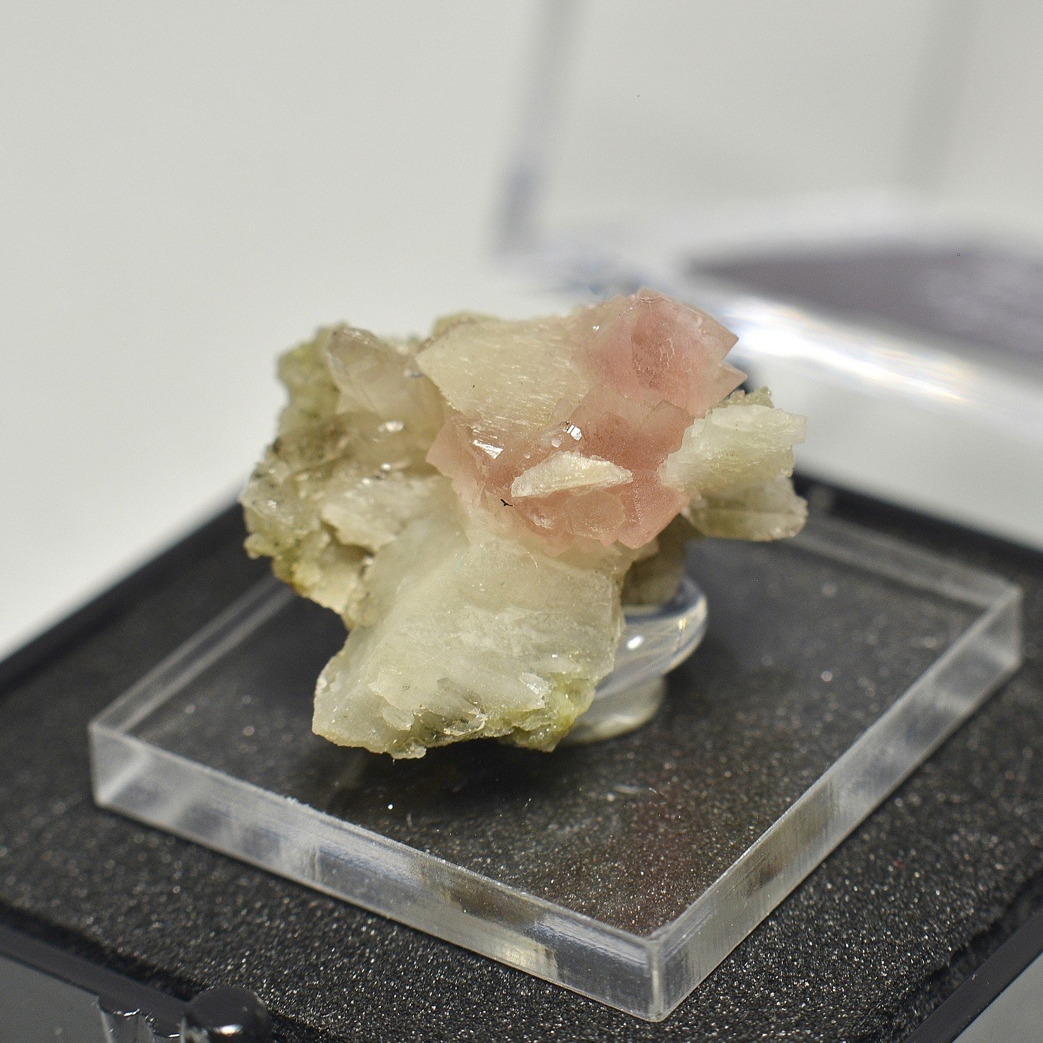 Fluorine rose, quartz, albite - Mont-Blanc, Haute-Savoie, France