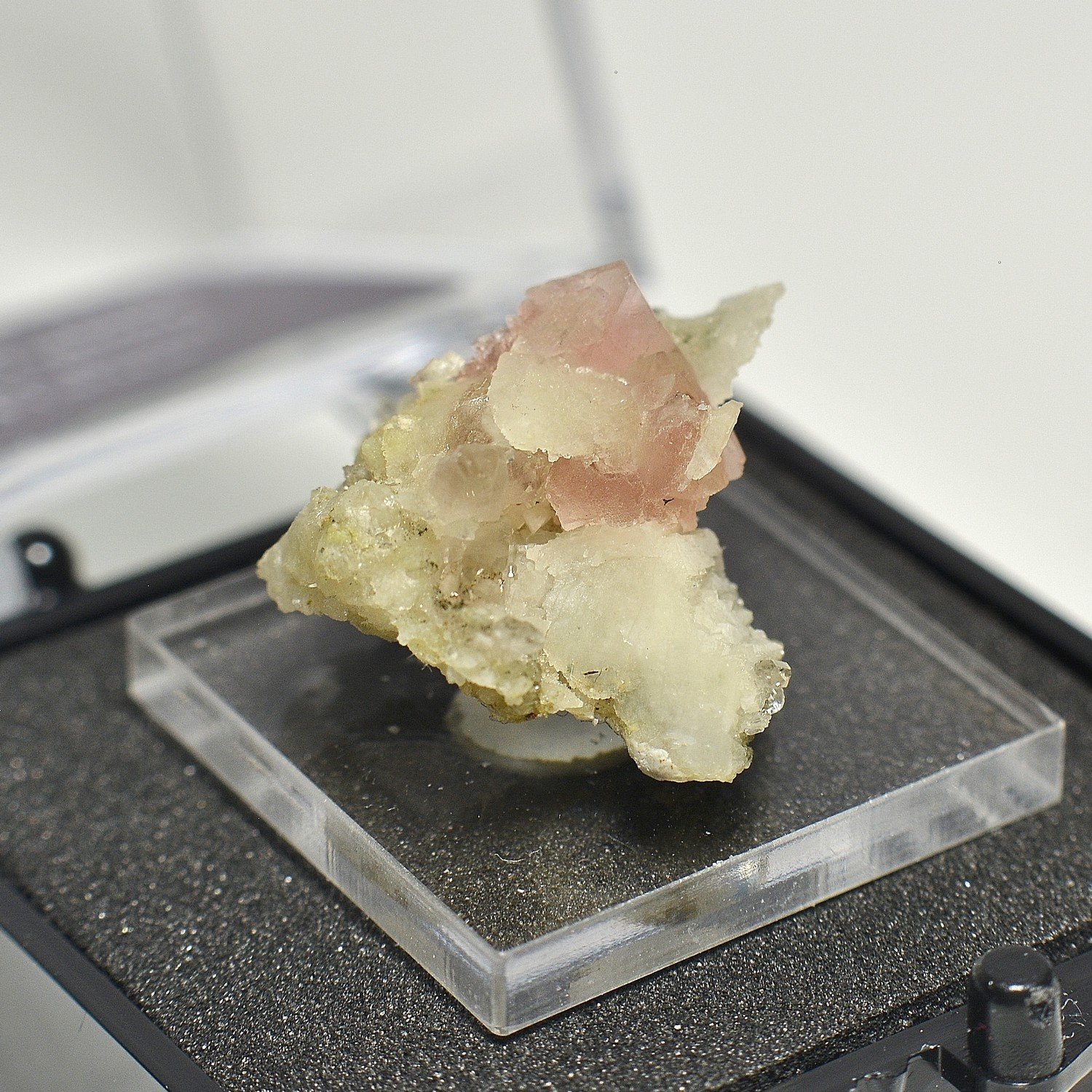 Fluorine rose, quartz, albite - Mont-Blanc, Haute-Savoie, France