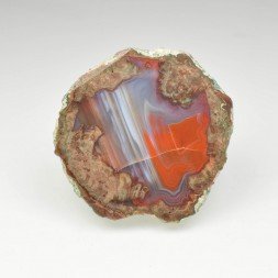 Lithophysis - Esterel, Var, France