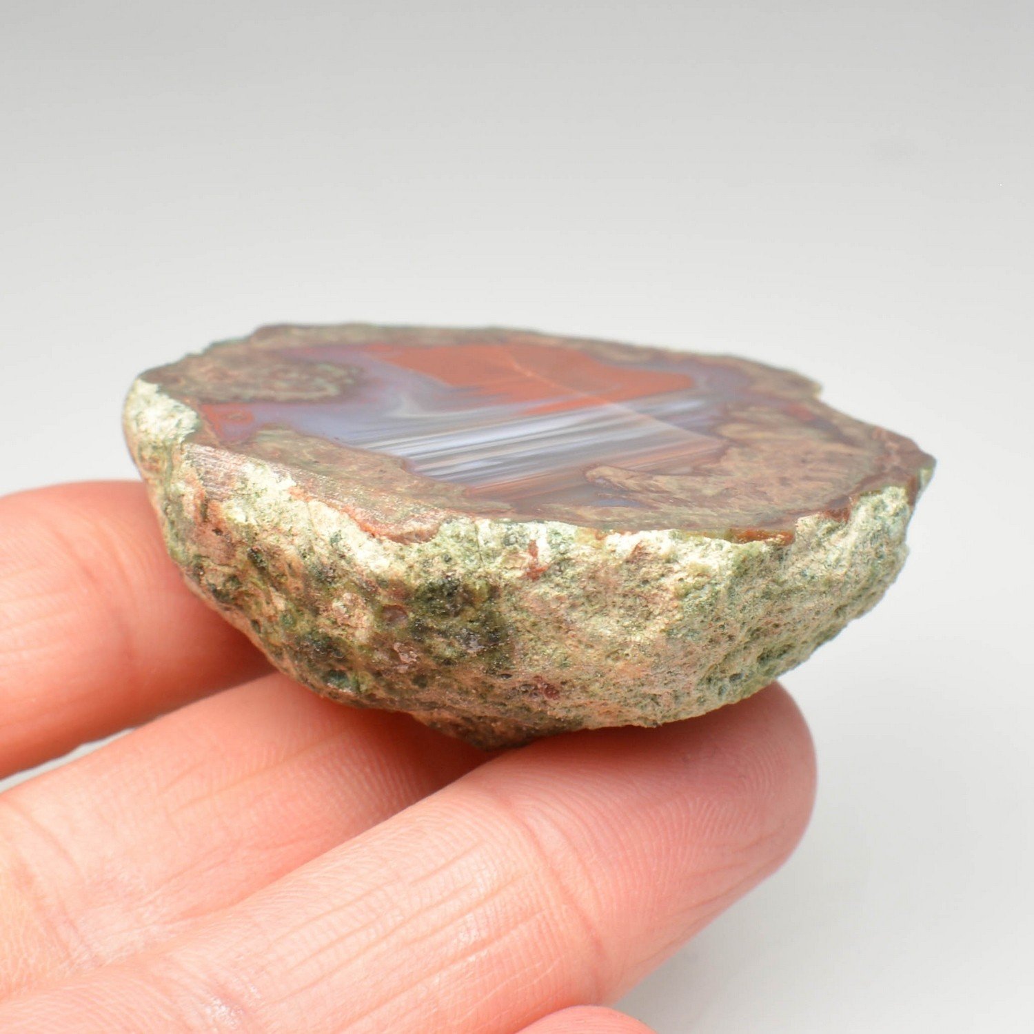 Lithophyse - Esterel, Var, France