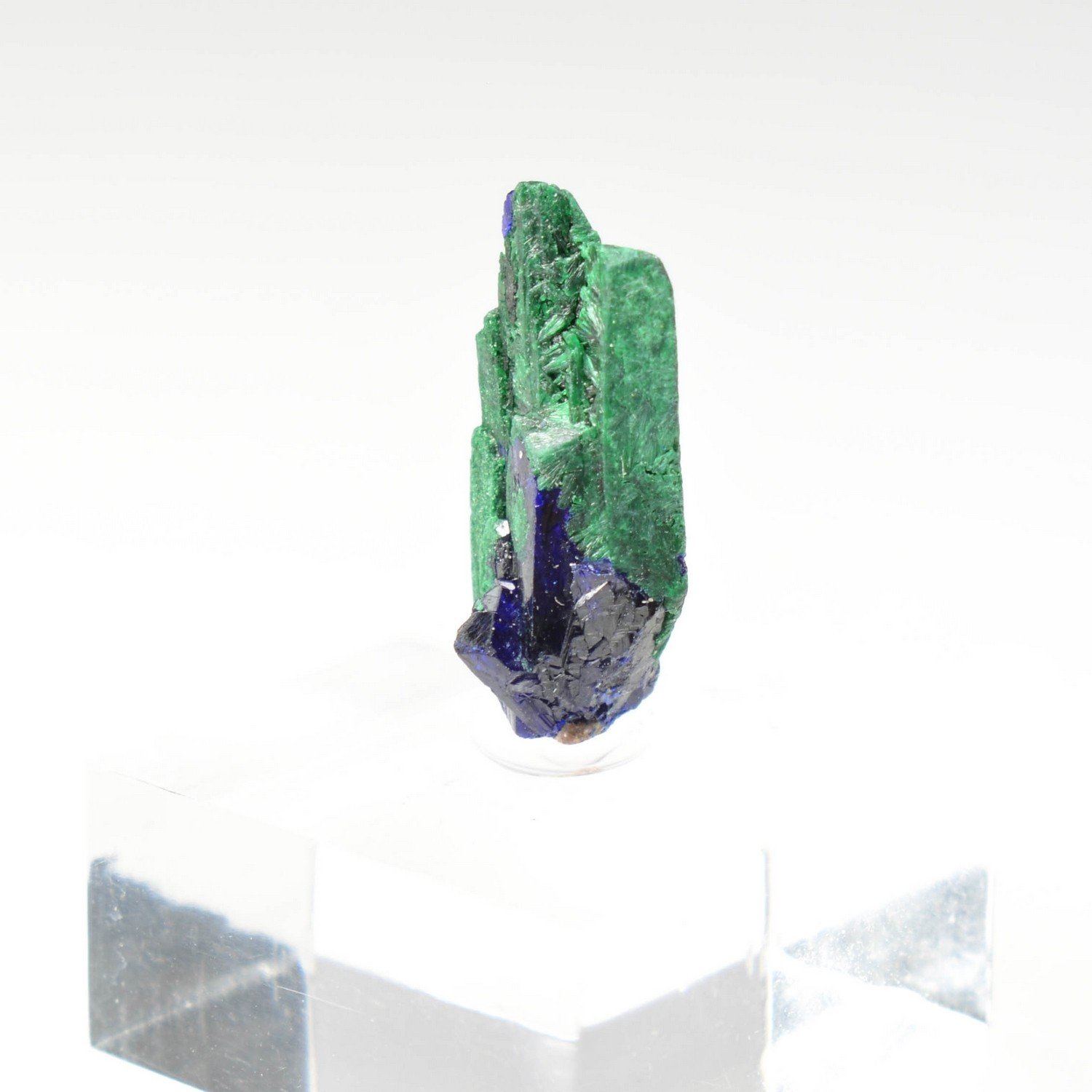 Azurite and malachite - Kerrouchen, Morocco