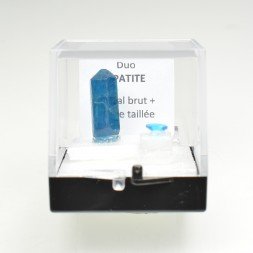 APATITE - DUO pierre taillée et pierre cristallisée