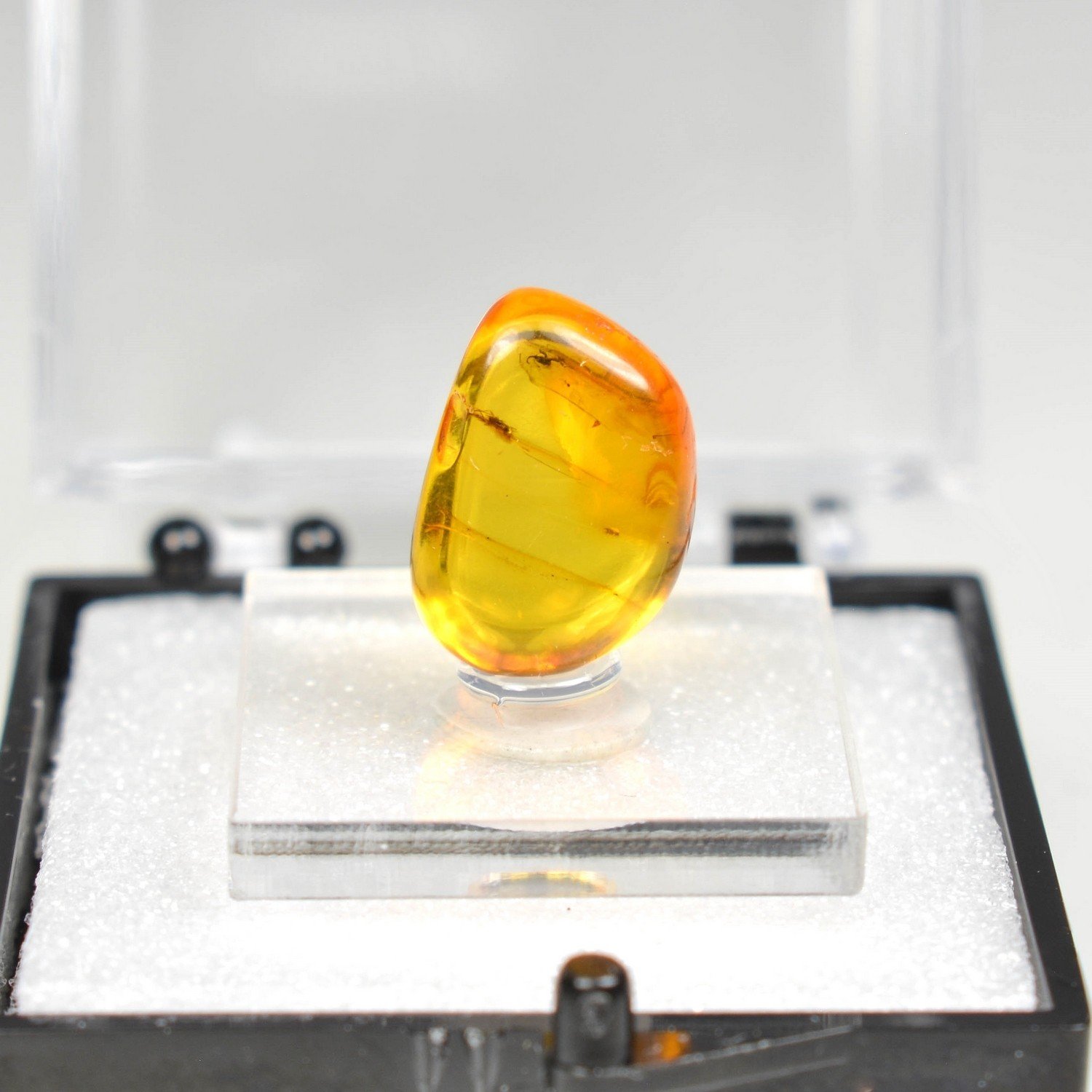Baltic amber with insect - Thumbnail 9