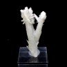 Calcite - Mine Qinglong / Dachang, Guizhou, Chine