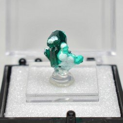 Dioptase et chrysocolle - RD Congo