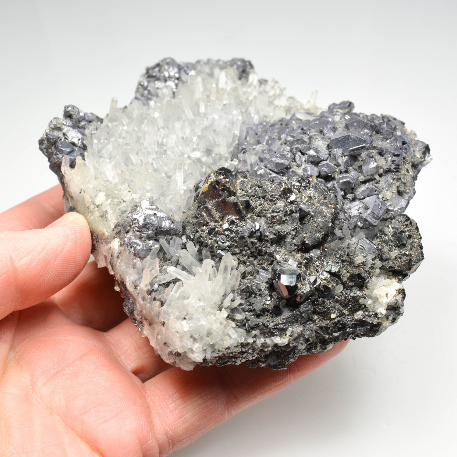 Galène et quartz - Madan, Bulgarie Galène et quartz - Madan, Bulgarie