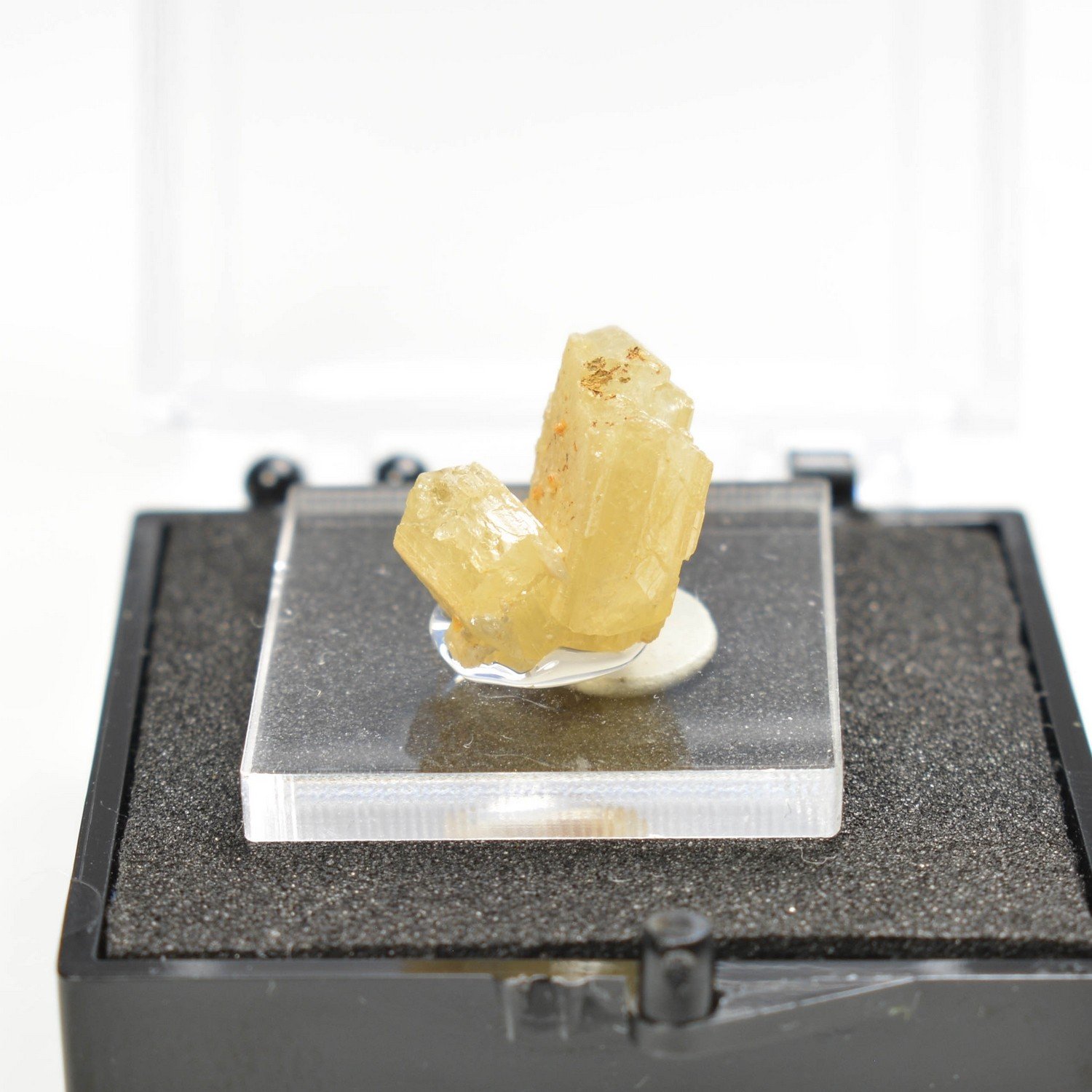 Stolzite - Sainte Lucie Mine, Lozère, France