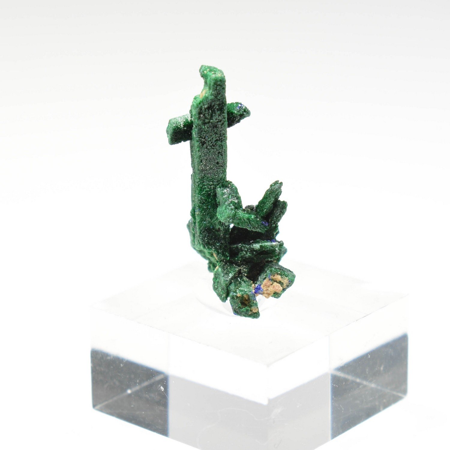 Azurite et malachite - Kerrouchen, Maroc