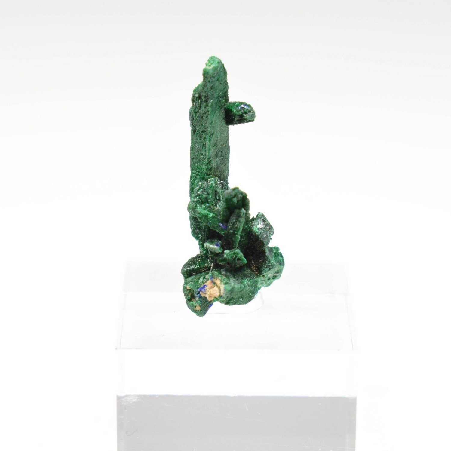 Azurite et malachite - Kerrouchen, Maroc