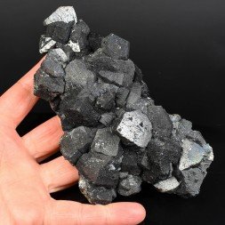 Marmatite - Mine de Machacamarca, Potosi, Bolivie