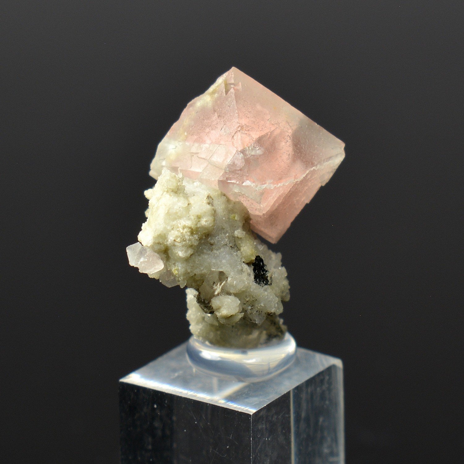 Fluorine rose - Face Sud des Droites, Massif du Mont-Blanc, Haute-Savoie, France