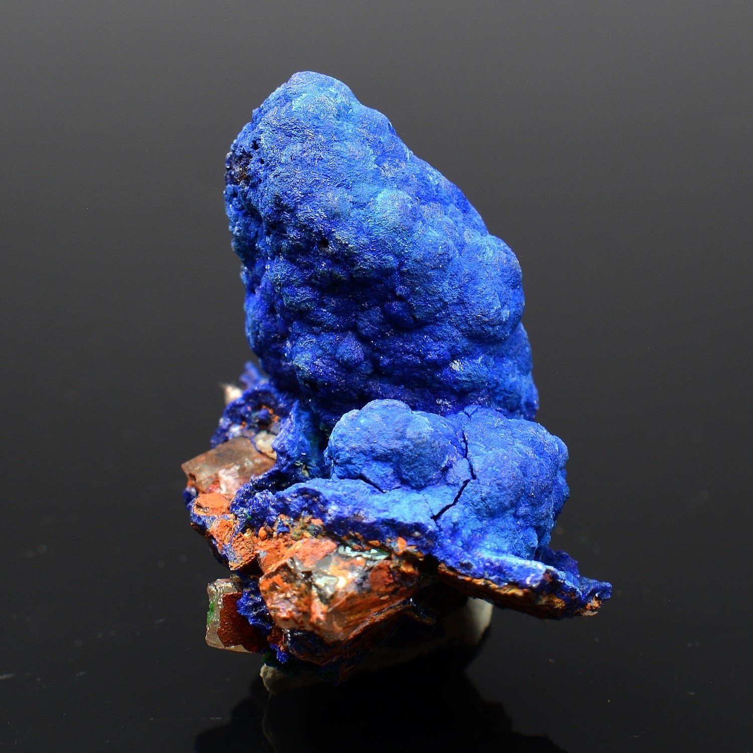 Azurite on quartz - M'Ssici, Alnif, Drâa-Tafilalet, Morocco