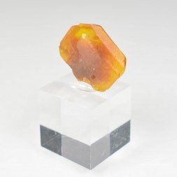 Wulfénite - Mine Erupcion, Los Lamentos, Mexique