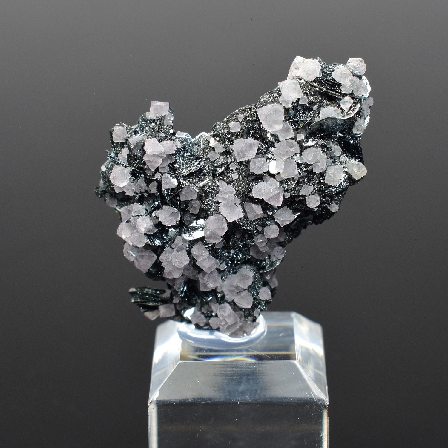 Fluorine et hématite - Face Sud des Droites, Mont-Blanc, France