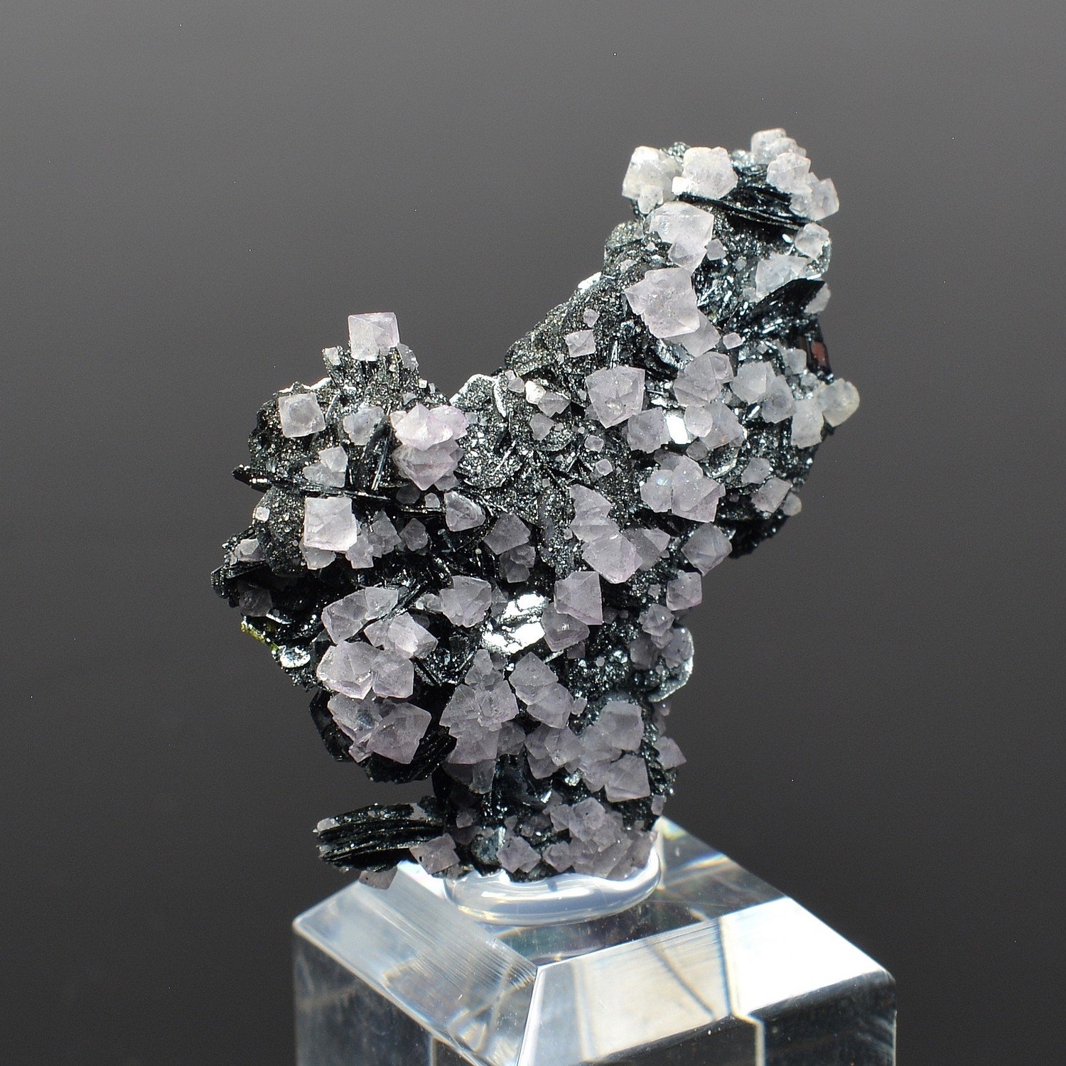 Fluorine et hématite - Face Sud des Droites, Mont-Blanc, France