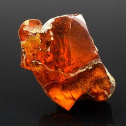 Amber - Chevrière, Oise, France