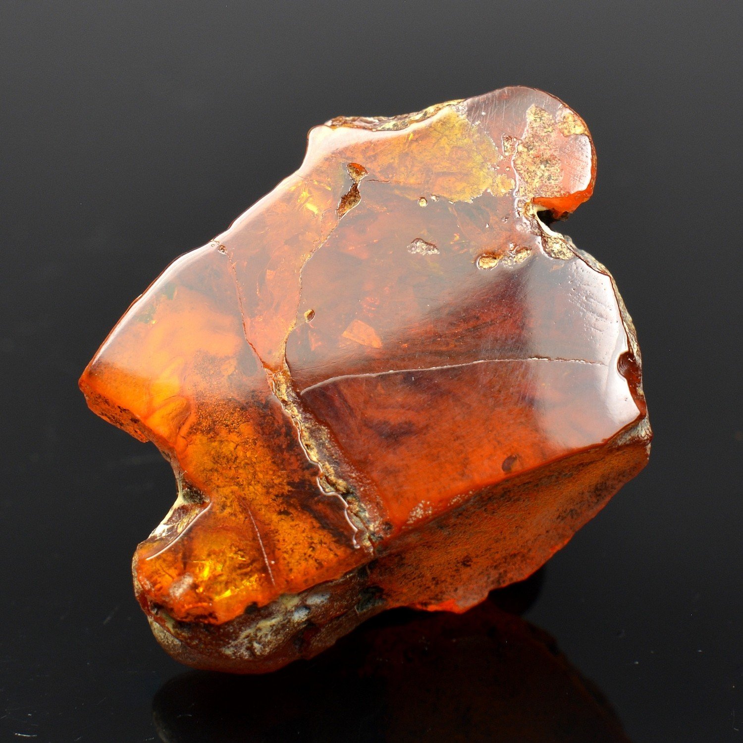 Amber - Chevrière, Oise, France