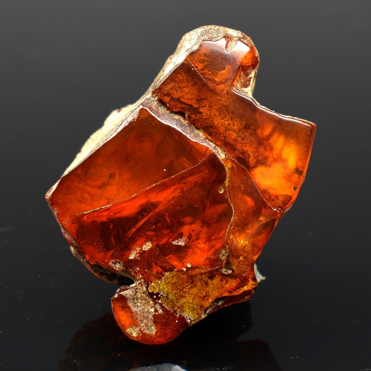 Amber - Chevrière, Oise, France