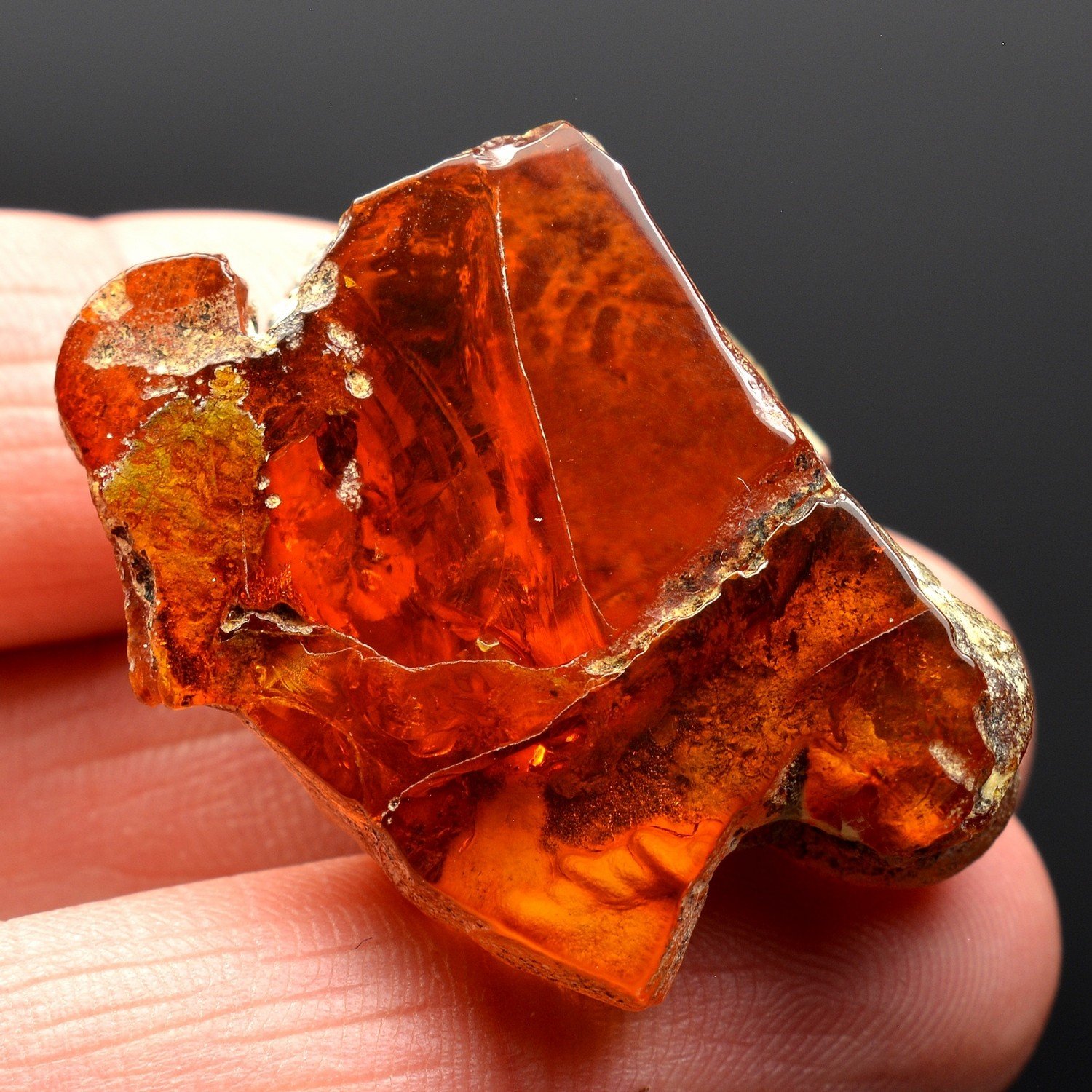 Ambre - Chevrière, Oise, France