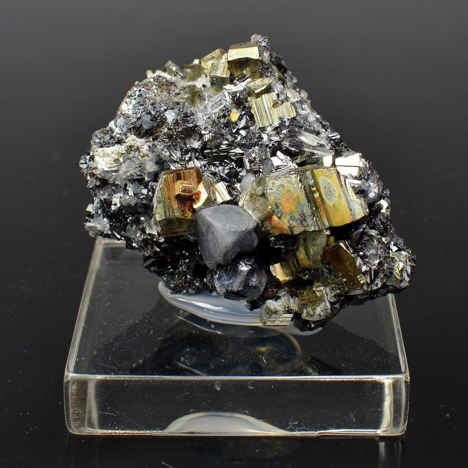 Pyrite et galène - Mine Borieva, Madan, Bulgarie